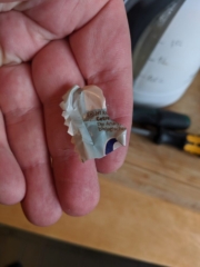 Bosch Geschirrspülmaschine und der Fehler E-21 Bild vom verklemmten Plastikteil aus der Pumpe.