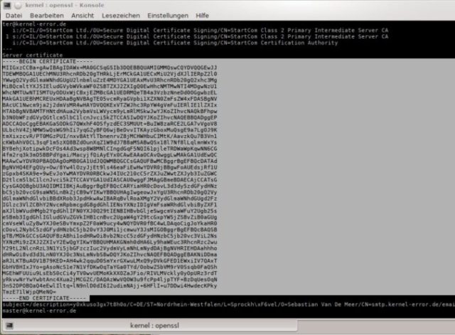 Screenshot der CLI beim manuellen prüfen vom TLSA /DANE RR.