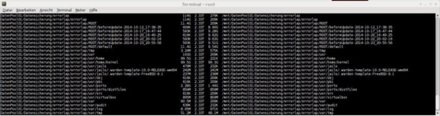 Screenshot der CLI mit aufgelisteten ZFS Snapshots.