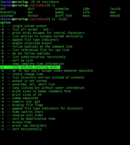 Screenshot der Z Shell zsh auf dem Laptop von Sebastian van de Meer aka Kernel-Error. Beispiel zur Autovervollständigung beim Command ls.