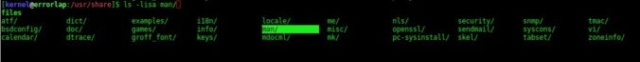 Screenshot der Z Shell zsh auf dem Laptop von Sebastian van de Meer aka Kernel-Error. Beispiel zur Autovervollständigung beim Command ls für Ordner.