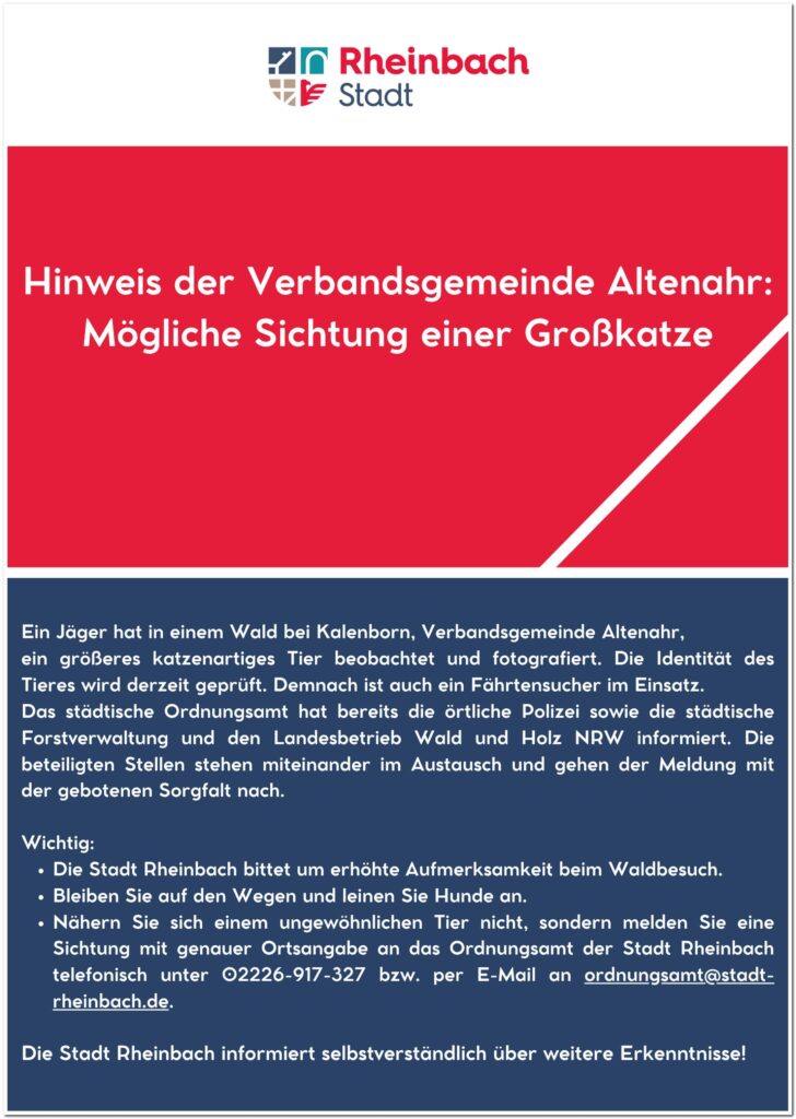 Stadt Rheinbach informiert über mögliche Sichtung einer Großkatze bei Kalenborn in der Verbandsgemeinde Altenahr – Hinweis an Waldbesucher, vorsichtig zu sein und ungewöhnliche Tierbeobachtungen dem Ordnungsamt zu melden.