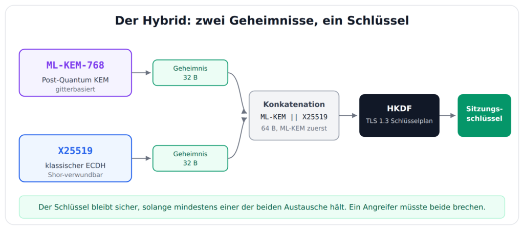 Diagramm: Hybrider Schlüsselaustausch. X25519 und ML-KEM-768 liefern je ein 32 Byte langes Geheimnis, beide werden konkateniert und über HKDF zum Sitzungsschlüssel abgeleitet.
