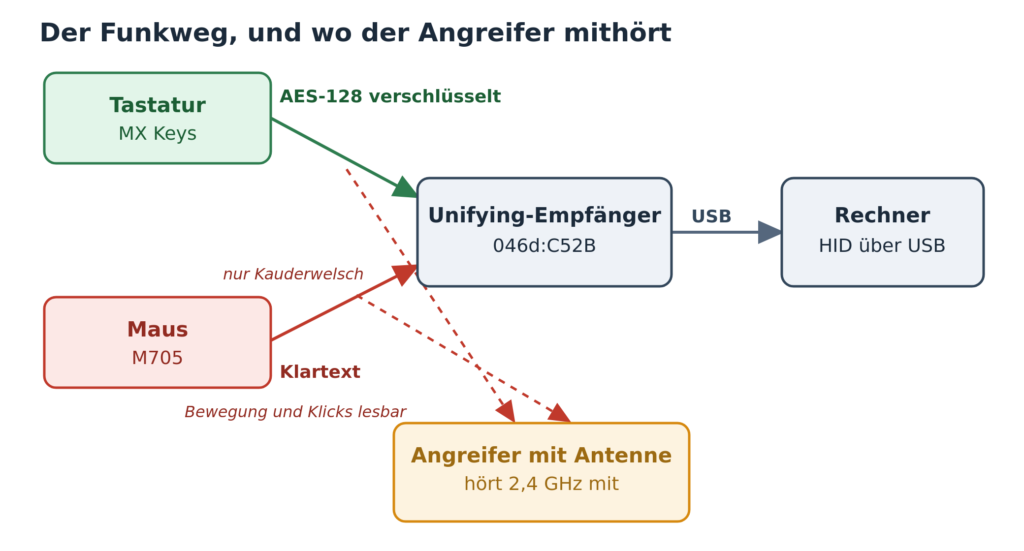 Diagramm des Funkwegs: Tastatur MX Keys funkt AES-128-verschlüsselt, Maus M705 im Klartext, beide über den Unifying-Empfänger zum Rechner, ein Angreifer mit Antenne hört mit.