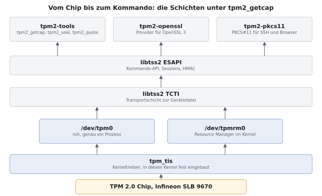 Schichtmodell vom Infineon SLB 9670 über den Kerneltreiber tpm_tis und die Gerätedateien bis zu tpm2-tools, tpm2-openssl und tpm2-pkcs11